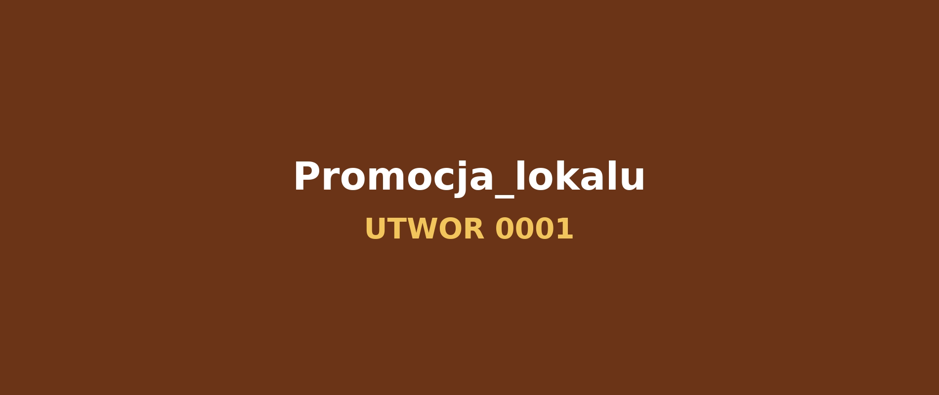 Baner piosenki promującej lokal